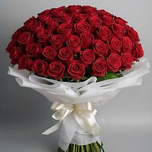 Букет 101 Красная роза Блэк Мэджик #REPLACE_PRED# Усть-Бузулукской