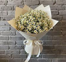 Букет цветов из:  Ромашки в Усть-Бузулукской