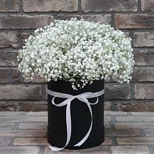 Цветочная композиция из Гипсофила в шляпной коробке в Усть-Бузулукской